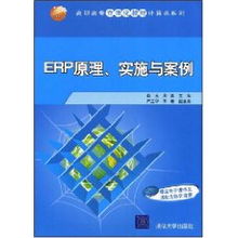 ERP系統原理、實施與網絡技術應用——以肖玉案例為視角
